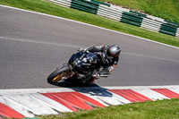 cadwell-no-limits-trackday;cadwell-park;cadwell-park-photographs;cadwell-trackday-photographs;enduro-digital-images;event-digital-images;eventdigitalimages;no-limits-trackdays;peter-wileman-photography;racing-digital-images;trackday-digital-images;trackday-photos